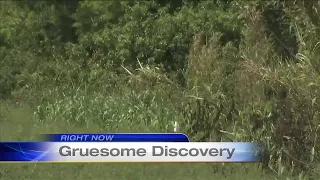 Body found in canal surrounded by gators