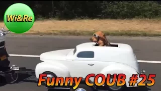 Funny COUB Style #25 ⁄⁄Лучшее в Coub  ПРИКОЛЫ Best Coub