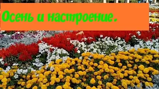 Осень и хорошее настроение! Мне пытались испортить его.