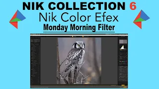 NIK COLOR EFEX (Monday Morning Filter) NIK COLLECTION 6