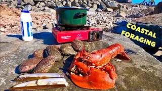 COASTAL FORAGING - Big Lobster , Razor Clams, Abalone , Crabs & Flatfish - Beach COOKING !