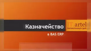 Казначейство в BAS ERP