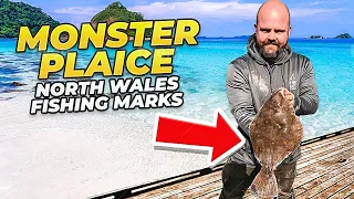 Monster plaice | north wales fishing marks  #seafishinguk #seafishing #plaice