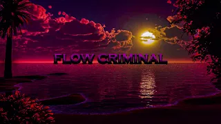 IceFxx x Andreea - Flow Criminal (Official Audio)