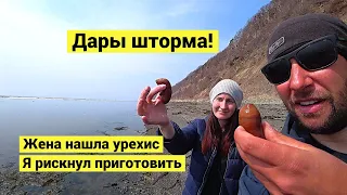 Дары шторма! Впервые попробовал урехис! // Tried urehis for the first time! (Eng Subs)