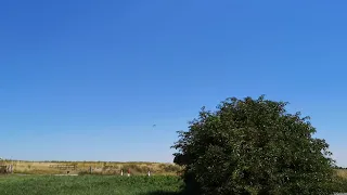 Hawker Hunter Boscombe down