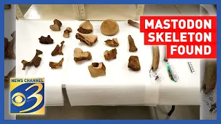 More bones from Mastodon skeleton found in Kent County
