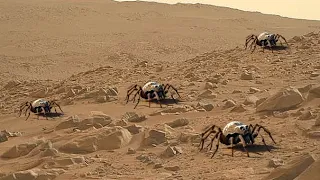 NASA Mars Perseverance Rover Send New Video of Mars on Sol 1073 | Perseverance Latest Video