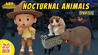 Nocturnal Animals Minisode Compilation (Part 1/2) - Leo the Wildlife Ranger | Animation | For Kids