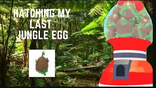 Hatching My Last Jungle Egg In Adopt Me (Roblox) with Stroller Showcase