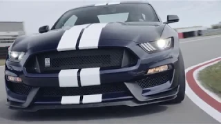 Новый Ford Shelby GT350 2019