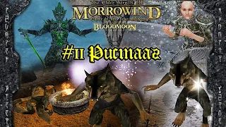 TES III: Morrowind: Bloodmoon - #11 Ристааг