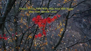 Sibelius : Stille, Mein Wille, Dein Jesus Hilft Siegen