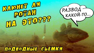 ТАКОЕ РЕДКО УВИДИШЬ! Опустил КАМЕРУ РОТАН берёт СХОДУ на ЭТО!! ПЕРВЫЙ ЛЕД 2022-23! Зимняя рыбалка