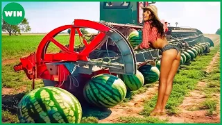 100 Most Unbelievable Agriculture Machines and Ingenious Tools ▶ 87