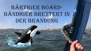 Bärtiger Board-Bändiger brettert in der Brandung 🤙🤙🤙