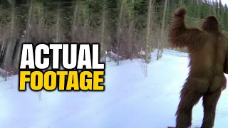 Chilling Trail Cam Footage No One Saw Coming