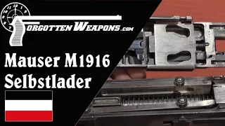 Mauser Selbstlader M1916 (Infantry Version)