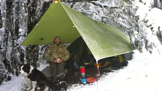 CAMPING i REGN och SNÖ med HUND - TÄLT och TARP