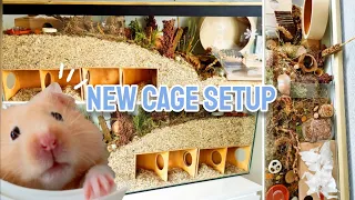Upgrading HAMSTER's Natural Cage Setup - German Inspired Enclosure + Christmas Haul 🐹🌿