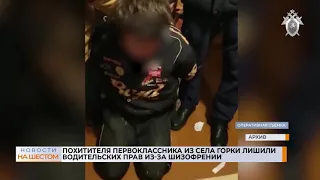 Похитителя первоклассника из села Горки лишили водительских прав из-за шизофрении