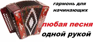 Гармонь с нуля