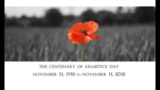 100th year anniversary of the Armistice of Nov 11, 1918