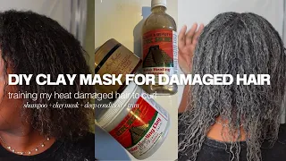 training my heat damaged hair to curl | DIY bentonite clay mask