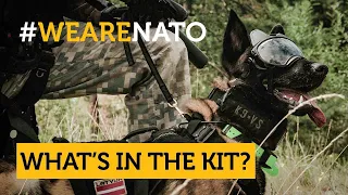 What's in the kit of a 🇱🇻 Latvian special forces’ dog handling team?