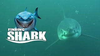 TOP POT SHARK ATTACK | НАПАДЕНИЯ АКУЛ (ТОП ПОТ)