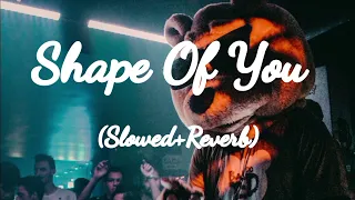 Shape Of You - Ed Sheeran (Slowed+Reverb)