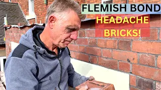 Victorian extension  Flemish Bond causing HEADACHE