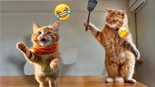 🤣🤣Funniest Videos Of The Week About Animals -😊Funny Cats😹 And Dogs🐶 2024 - PART 3