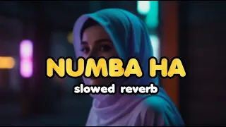 NUMBA HA slowed reverb | RED SKY MUSIC