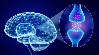 SYNAPSES and NEURONS: types and how they work in the brain🧠⚡