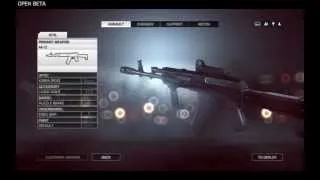 BF4 Weapon Overview - AK12