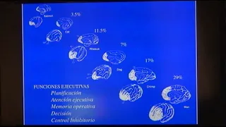 La corteza prefrontal abre el niño a su futuro, Joaquín Fuster. CIPE 2018, Universidad de La Rioja