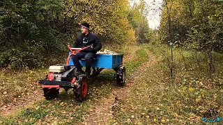 НА МОТОБЛОКЕ 🔥за дровами🔥. ПОКАТУШКИ. По осеннему саду. ON THE MOTOR-BLOCK "for firewood". ROLLERS.