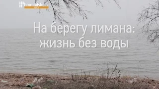 На берегу лимана: жизнь без воды