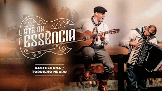 Castelhana / Tordilho Negro - GTG Na Essência Acústico