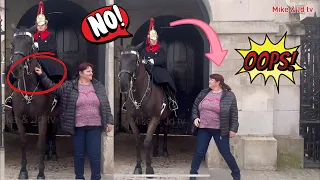 King’s Guard Takes Action for This Stupid Tourist Who Touched the Horse’s Reins Twice | Horse Guards