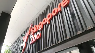 Family trip to Singapore Zoo - 2024