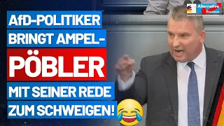 💥Martin Hess bringt mit seiner Rede die Ampel-Pöbler😱 zum Schweigen!- AfD-Fraktion im Bundestag