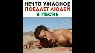 Нечто ужасное поедает людей в песке... / Песок 2015  Нельзя прикасаться к песку иначе...