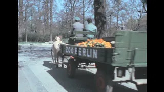 Berlin (West Berlin) zoo 1976 archive footage