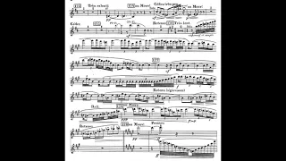 Ravel - Daphnis & Chloe flute solo