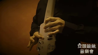 Theme From Schindler's List - Roland Aerophone AE-10 play Violin【AnYiPapaShow】