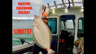 CALIFORNIA HALIBUT fishing during the SPAWN! San Francisco Bay