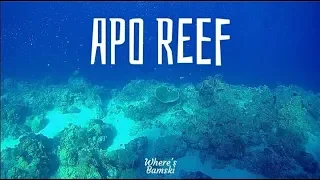 APO REEF NATURAL PARK: Second Largest Coral Reef System in the World