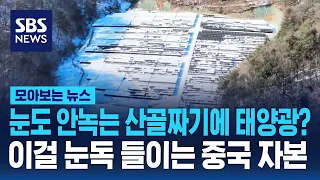 눈도 안 녹는 산골짜기에 태양광?..이걸 눈독 들이는 외국 자본 / SBS / 모아보는 뉴스